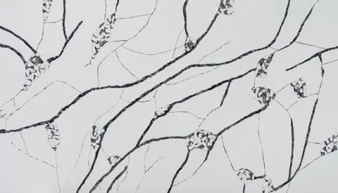 Paradigm VARAZZO Quartz — OS-PQ-136