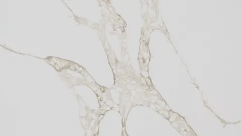 Paradigm OLIVO Quartz — OS-PQ-197