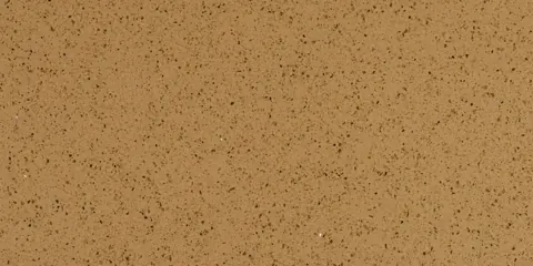 Paradigm BEIGE GALAXY Quartz — OS-PQ-037