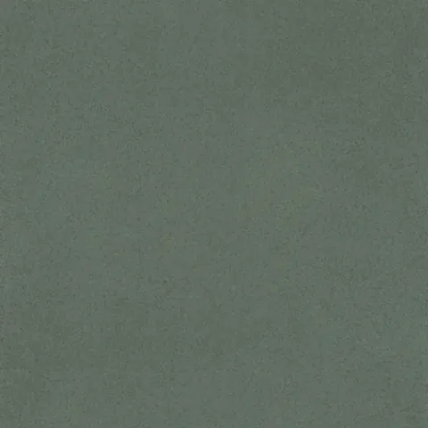 OMJ DENSE AQUA GREEN — OMJ DENSE AQUA GREEN