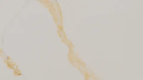 Paradigm DIJION GOLD Quartz — OS-PQ-185