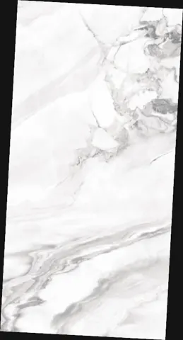OLP 12064 — OLP 12064