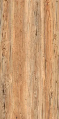 OMT WOLZE BROWN — OMT WOLZE BROWN