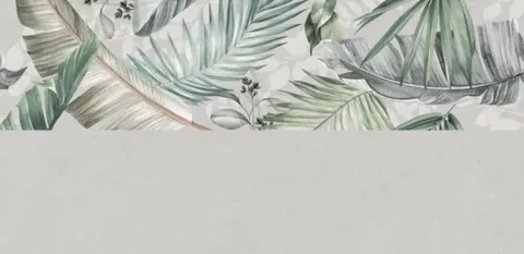 OMT RAINBOW SILVER — OMT RAINBOW SILVER