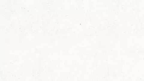SNOW WHITE Quartz — OS-QC-027
