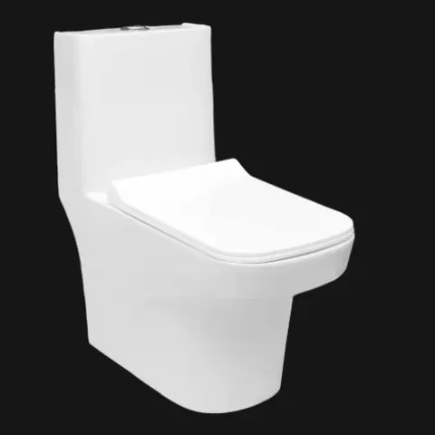 Bravet One Piece Toilet — OS-SW-989