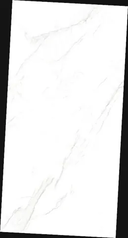 OLP 12049 — OLP 12049