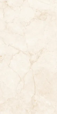 OMT SILONICA SILVER — OMT SILONICA SILVER