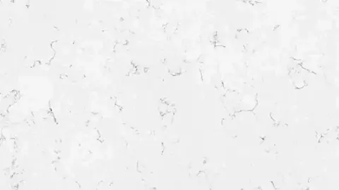 CARRARA Quartz — OS-QC-029
