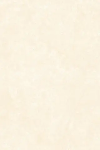 OMT LYRIO IVORY — OMT LYRIO IVORY