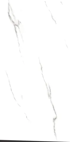 OLP 110 — OLP 110