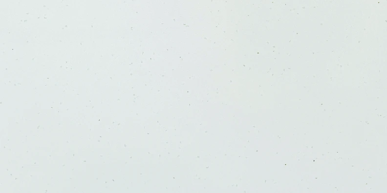 Paradigm WINTER ICE Quartz — OS-PQ-049 Quartz Jumbo