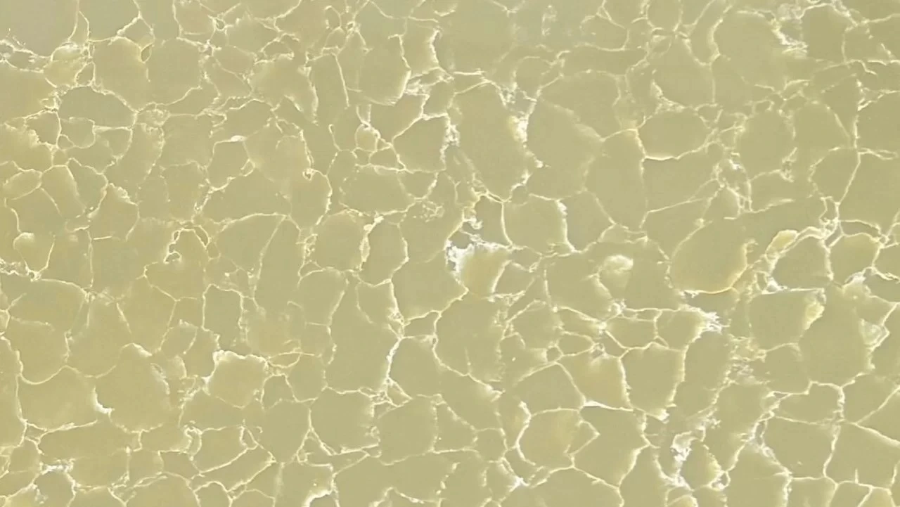 SIGMA ONYX Quartz — OS-QC-024 Quartz Slabs