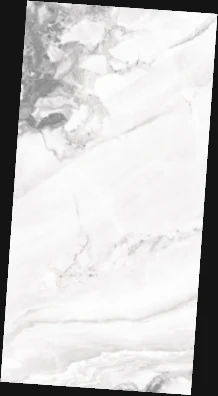 OLP 12064 — OLP 12064, view 5