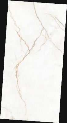 OLP 12071 — OLP 12071, view 4