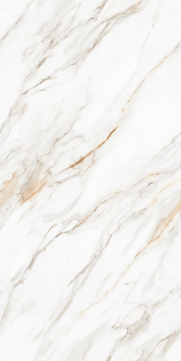 OMT SNOWBONE WHITE — OMT SNOWBONE WHITE Floor Tiles